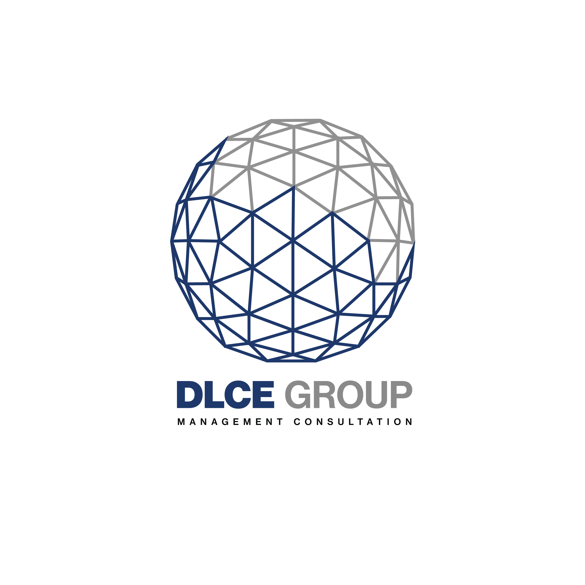 DLCE GROUP
